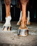 Buzz Balms Hoof Hydrator - Equine Hoof Balm