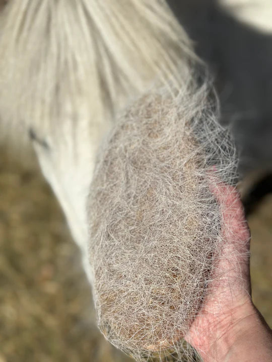 GeeGee Collective 'SCRUFF' BODY Ippico Brush – Mighty Farm Equine