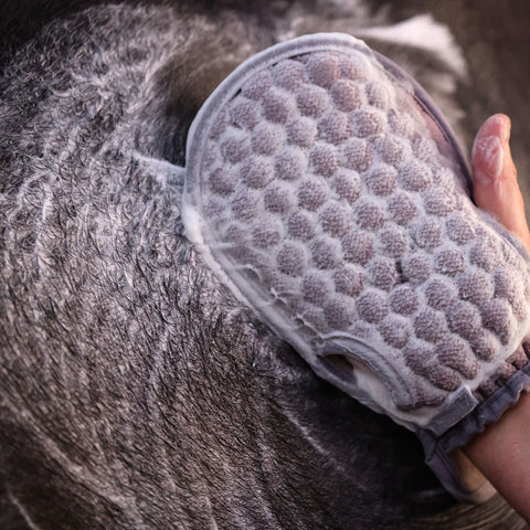 GeeGee COLLECTIVE Ippico Sponge Mitt