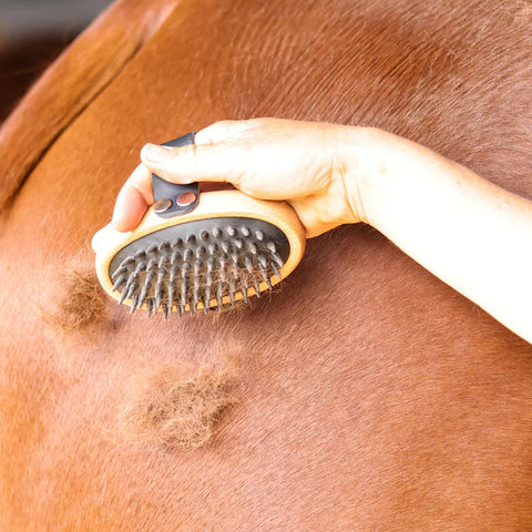 GeeGee COLLECTIVE Swift Curry Comb